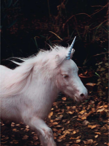 006~387.jpg