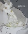 0025~116.jpg