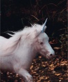 006~387.jpg